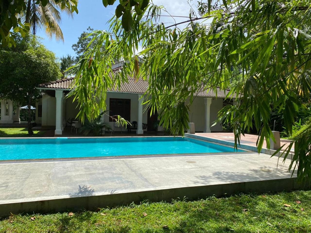 Villa Helvetia كالي المظهر الخارجي الصورة